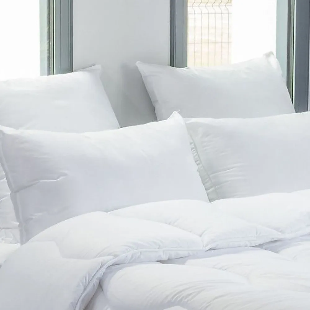 Blanreve Lot de 2 oreillers 45 x 70 cm Blanrêve Gamme "Douceur" traité Anti Acarien* Oreiller Moelleux