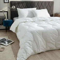 Blanreve Lot de 2 oreillers 45 x 70 cm Blanrêve Gamme