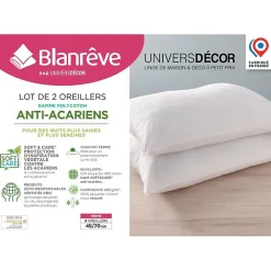 Blanreve Lot de 2 oreillers 45 x 70 cm Blanrêve Gamme