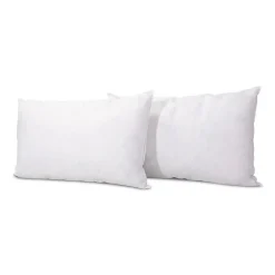 Lot de 2 oreillers Chambord 40x60 cm Duvet & Plumes>Bellecour Online