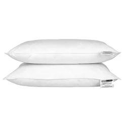 Lot de 2 oreillers en plumes et duvet d'oie, 50 x 75 cm ->Homescapes Outlet