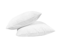 Lot de 2 oreillers ferme Microfibre - 60 x 60 - 10104>Mortreux Outlet