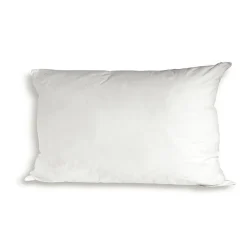 Lot de 2 oreillers Luxotel 40x60 cm Fibres creuses polyester><noscript><img data-lazyloaded=