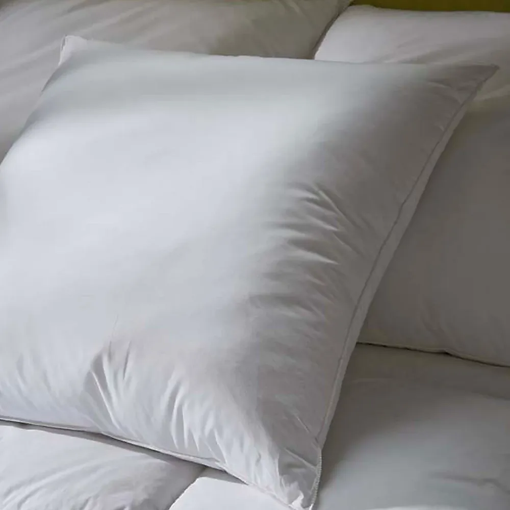 Bellecour Lot de 2 oreillers Luxotel 60x60 cm Fibres creuses polyester* Oreiller Moelleux