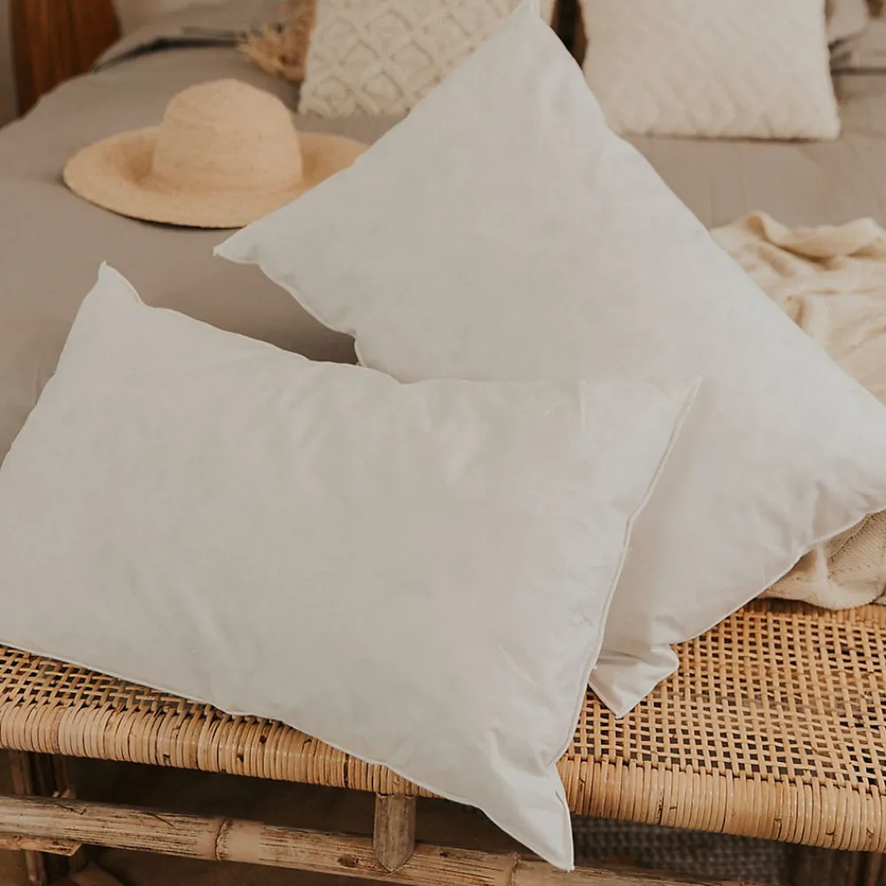 Lot de 2 oreillers Natura 60x60 cm Duvet & Plumess>Olympe Literie Sale