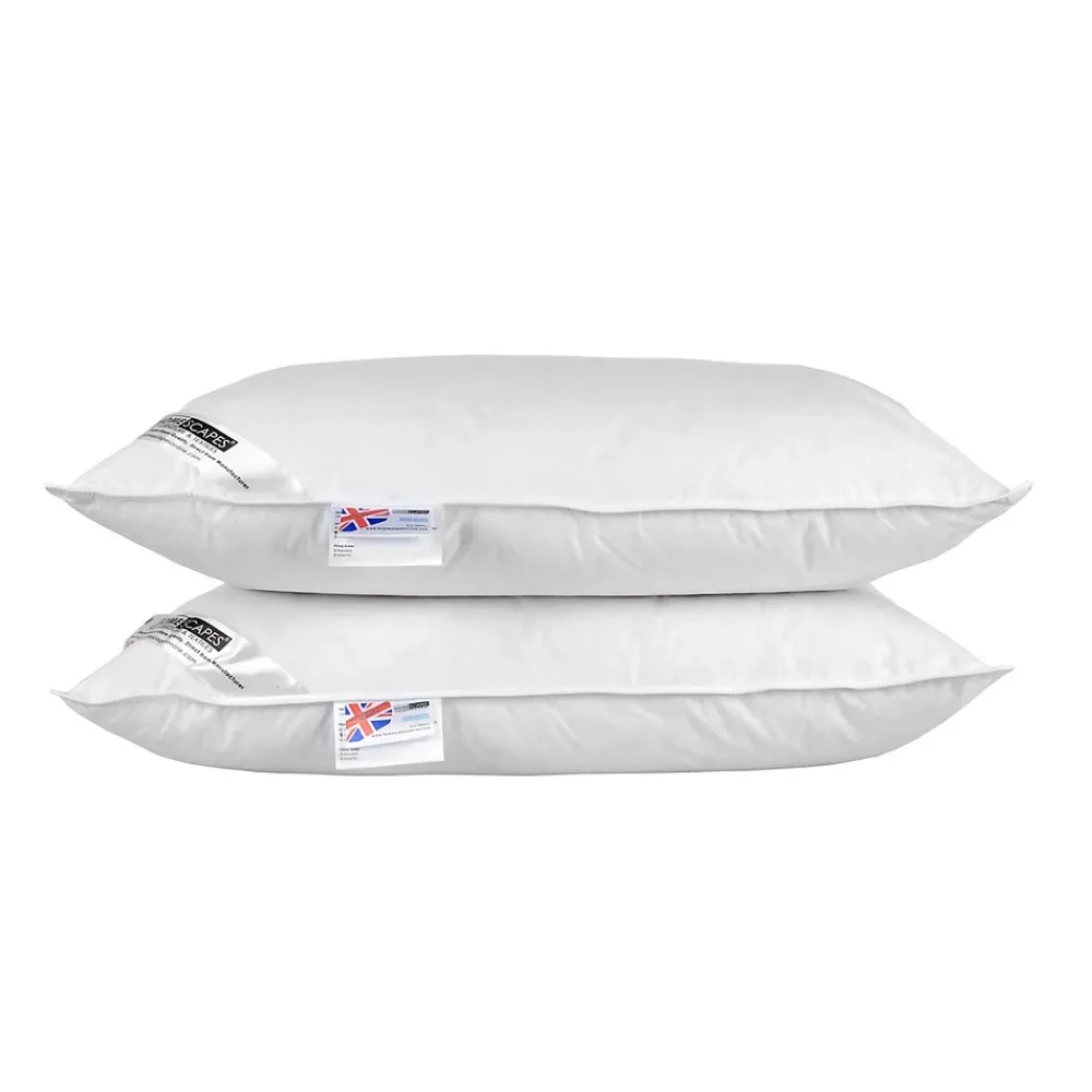 Homescapes Lot de 2 oreillers naturels en plumes et duvet de canard, 50 x 75 cm -* Oreiller Moelleux