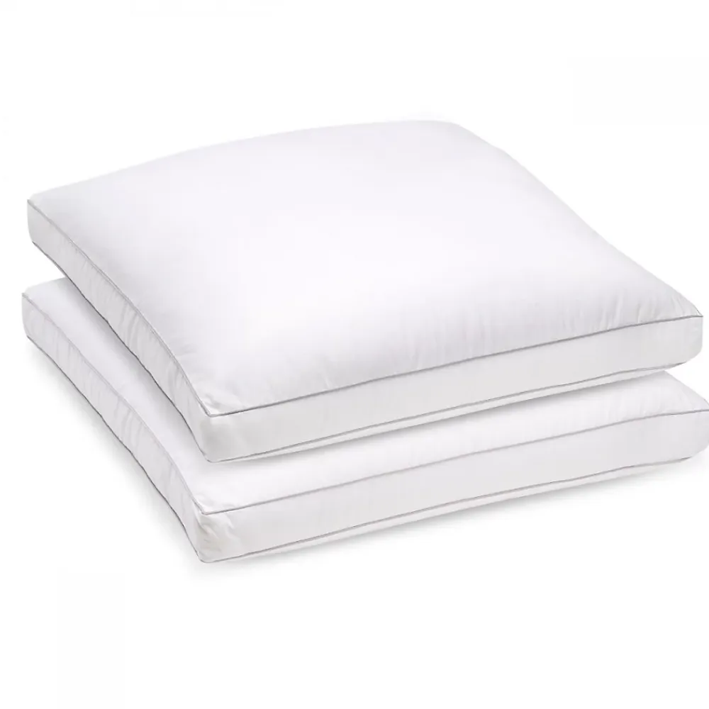 Bleu Calin Lot de 2 oreillers Souple 65x65cm SENSATION DUVET PREMIUM Gonflant* Oreiller Moelleux