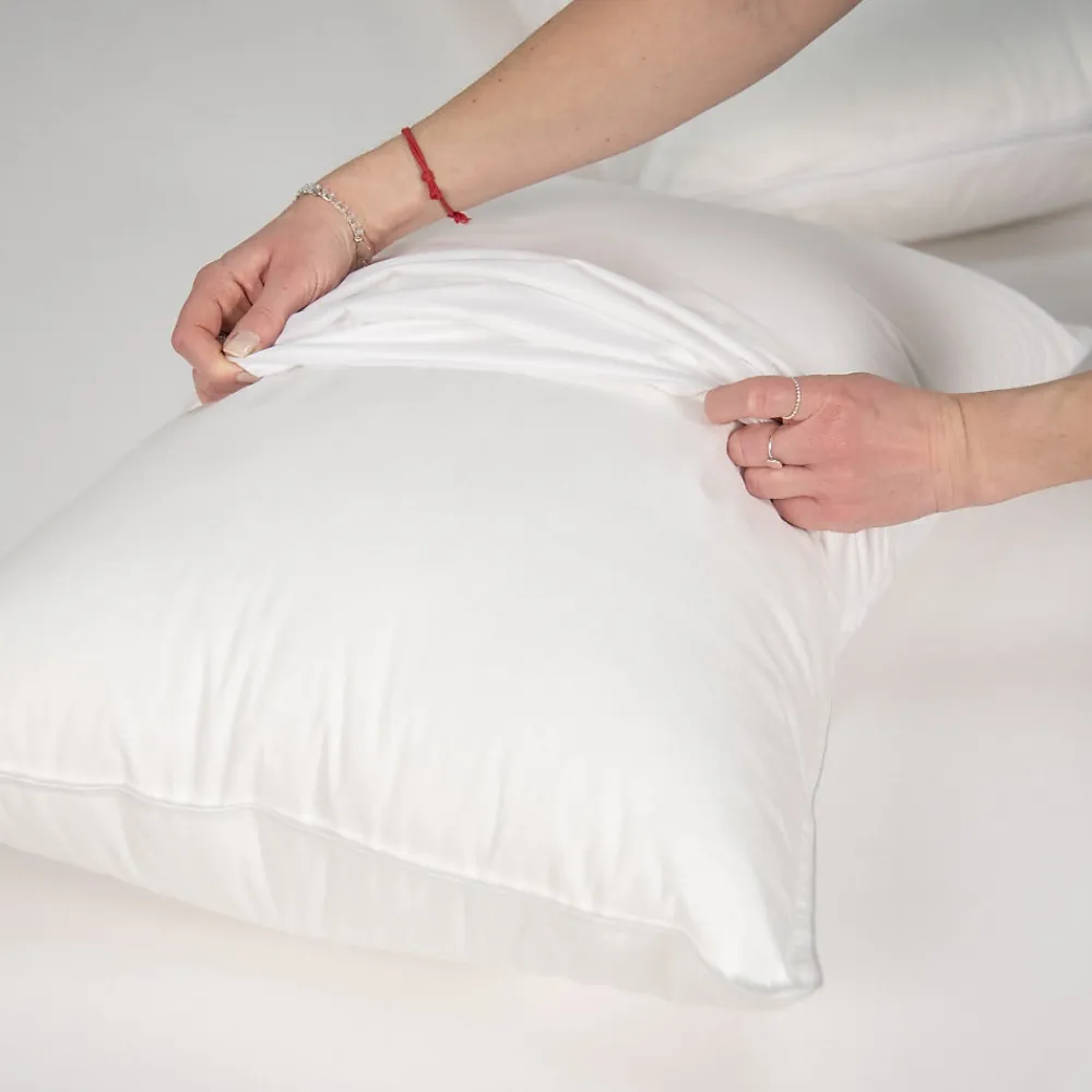 Lot de 2 protèges oreillers imperméables en jersey 50x70cm>Future Home Sale