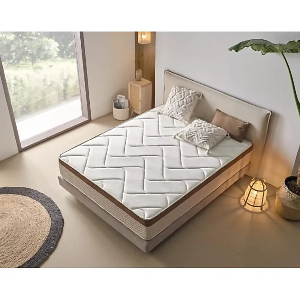 Eccox Matelas à mémoire de forme - BIO CONFORT - 70x190 cm - 25 cm d'épaisseur - Anti-acarien - Silencieux* Matelas