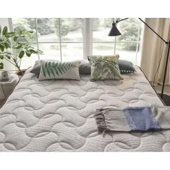 Eccox Matelas 70x190 Mémoire de forme Luxury Dream Confort Special Endition Hauteur 25 cm +/- 2 Fermeté moyenne-élevée.* Matelas