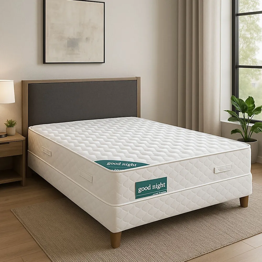 Nuits D'Or Goodnight 100x200 Matelas - Mousse Aertec+ 35 Kg/m3 - Hauteur 21 cm - Soutien Ferme - (100x200)* Matelas