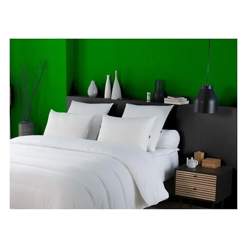 Oreiller anti-acariens 50x70 cm - 100% Polyester ->Dodo Online