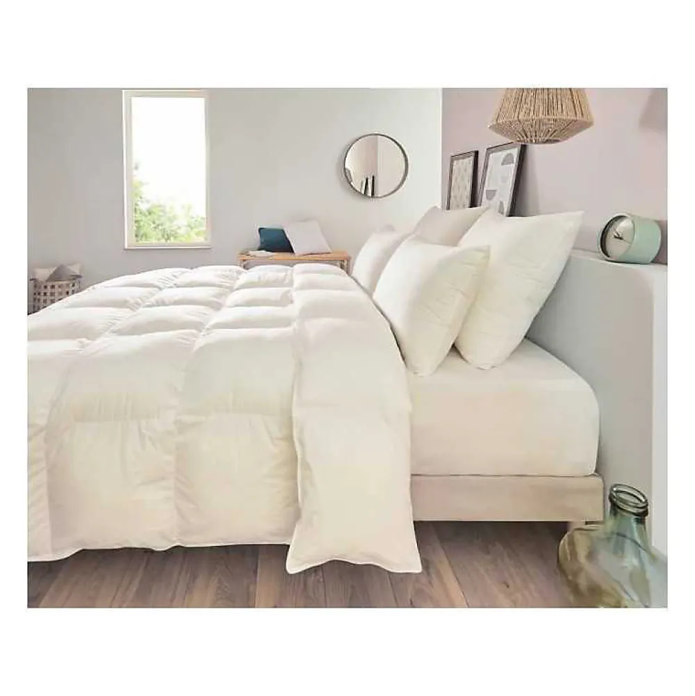 Toison d'Or Oreiller Carré Percale Traité ULTRAFRESH (65x65 cm - Blanc)* Couette