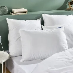 Oreiller Duvet Moelleux 60x60cm 90% DUVET DE CANARD><noscript><img width=