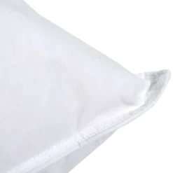 Oreiller Duvet Moelleux 60x60cm 90% DUVET DE CANARD><noscript><img width=