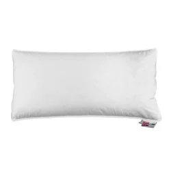 Homescapes Oreiller en duvet d'oie 40 x 80 cm -* Oreiller Moelleux