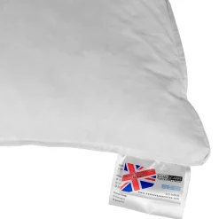 Homescapes Oreiller en duvet d'oie 40 x 80 cm -* Oreiller Moelleux