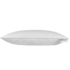 Homescapes Oreiller en duvet d'oie 40 x 80 cm -* Oreiller Moelleux