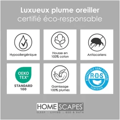 Oreiller en plumes de canard 50 x 75 cm, lot de 2 -><noscript><img width=