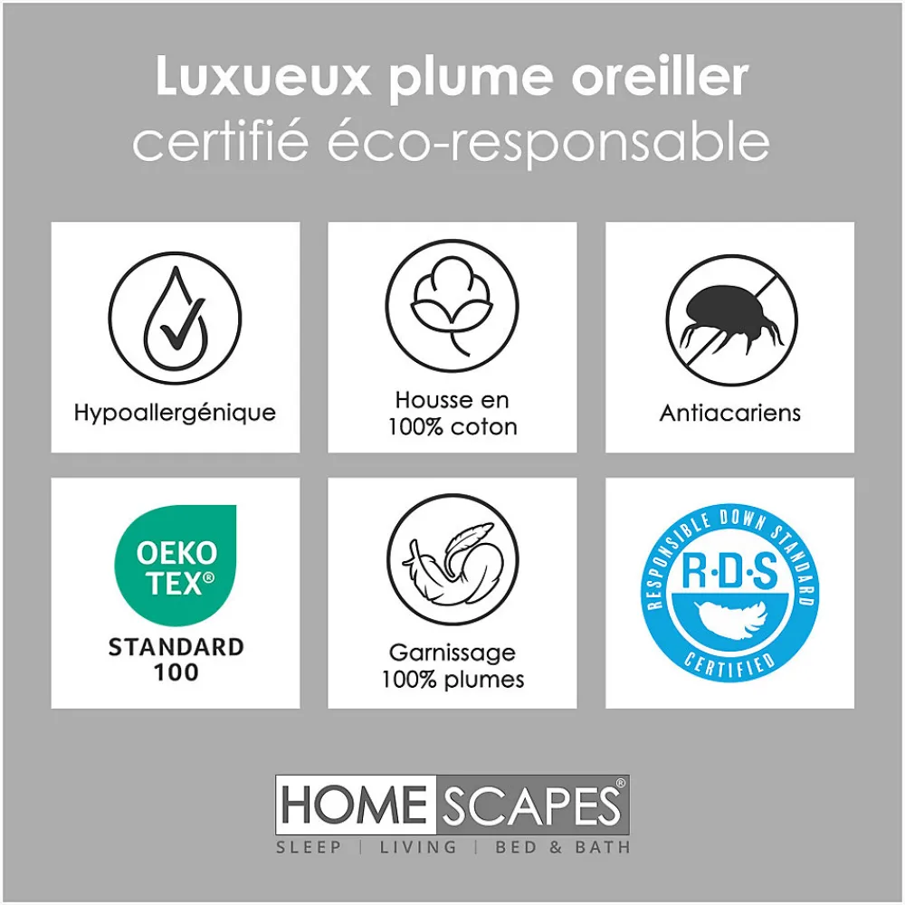 Oreiller en plumes de canard 50 x 75 cm, lot de 2 ->Homescapes New