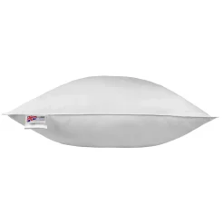 Homescapes Oreiller en plumes et duvet d'oie 80 x 80 cm -* Oreiller Moelleux