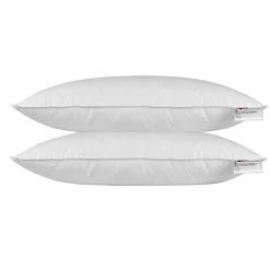Oreiller en plumes et duvet de canard 40 x 80 cm - lot de 2 -><noscript><img width=