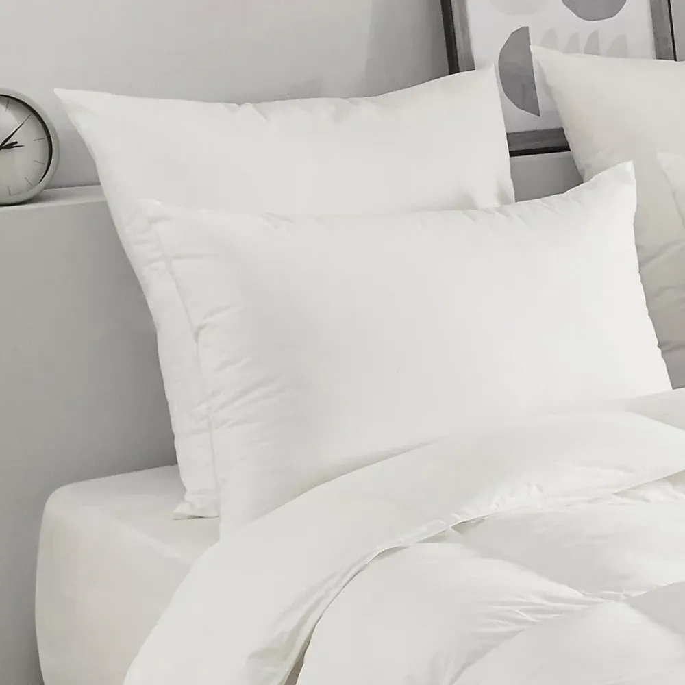 Toison d'Or Oreiller en plumettes et duvet (50x70 cm - Blanc)* Couette