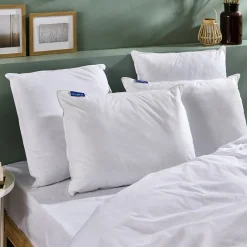 Oreiller Ferme Gonflant 60x60cm>Bleu Calin Discount