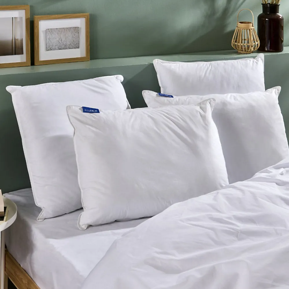 Oreiller Ferme Gonflant 60x60cm>Bleu Calin Discount