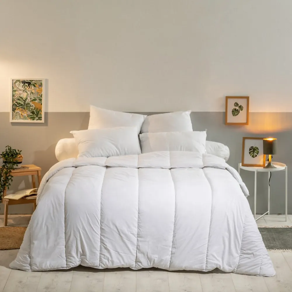Oreiller Moelleux 60x60cm LAVABLE À 95 C>Bleu Calin Outlet