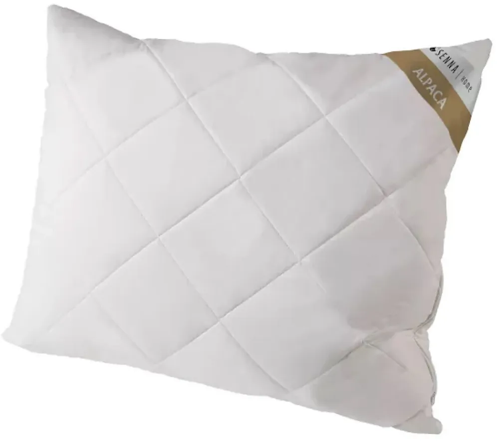 Senna Home Oreiller réglable 60x60 ALPACA* Oreiller Moelleux