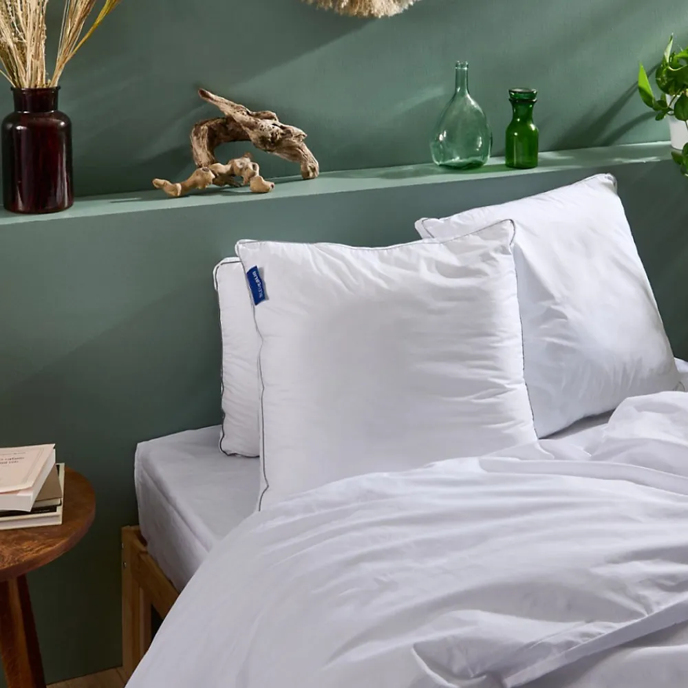 Oreiller 65x65cm SENSATION DUVET PREMIUM>Bleu Calin Hot