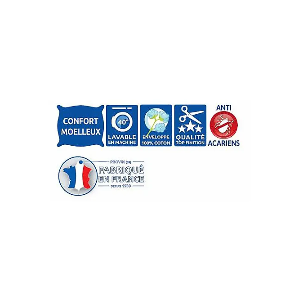 Bleu Calin Oreillers 60 x 60 cm Lot de 2 Anti acariens traité ESSENTIAL* Oreiller Moelleux