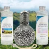 Pack économique Lampe Catalytique Mosaïque Noir + Parfum Provence Breeze (200 ml) + Nettoyant Neutre (200 ml) + Mèche de Rechange>Mamamanuela Hot