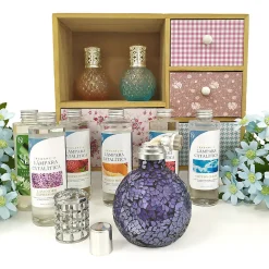 Parfum Mountain Mint pour lampe catalytique (200 ml) - Élimine les mauvaises odeurs, parfume et nettoie l'environnement><noscript><img width=