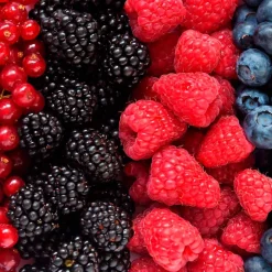 Parfum Summer Fruits pour lampe catalytique (500 ml) - Élimine les mauvaises odeurs, parfume et nettoie l'environnement><noscript><img width=