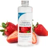 Parfum Wild Strawberry pour lampe catalytique (500 ml) - Élimine les mauvaises odeurs, parfume et nettoie l'environnement>Mamamanuela New