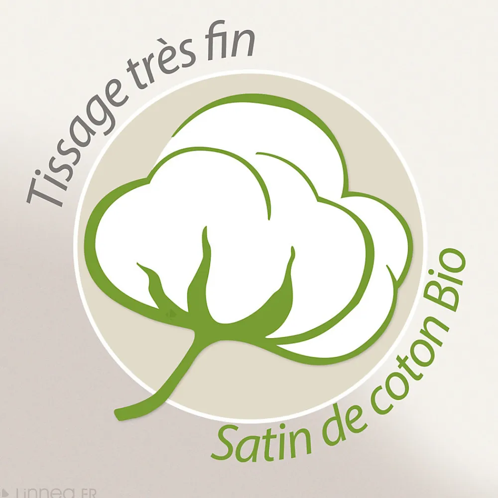 Parure de lit 240x220 cm Satin de coton WAYAN Vert 3 pièces>Linnea Clearance