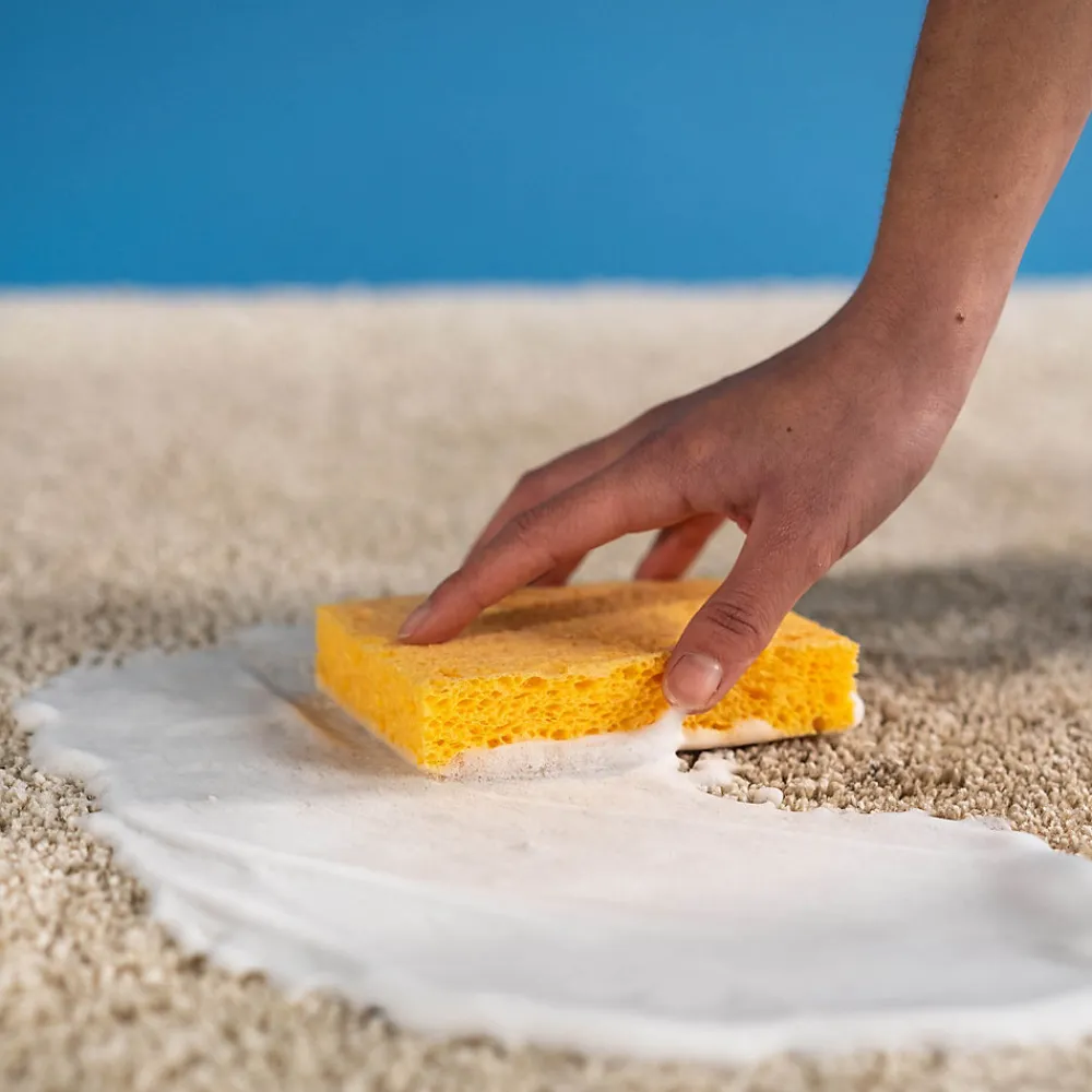 Éponge végétale Starwax l.3 x H.12 x P.18.2 cm vendue par 2> Online