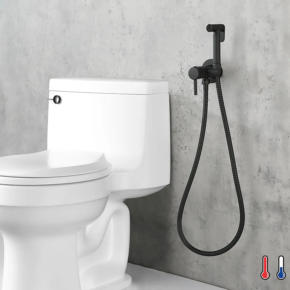 Kibath Robinet WC HYGIÈNE INTIME 2 eaux NOIR mat en laiton* Nettoyant Pour Wc