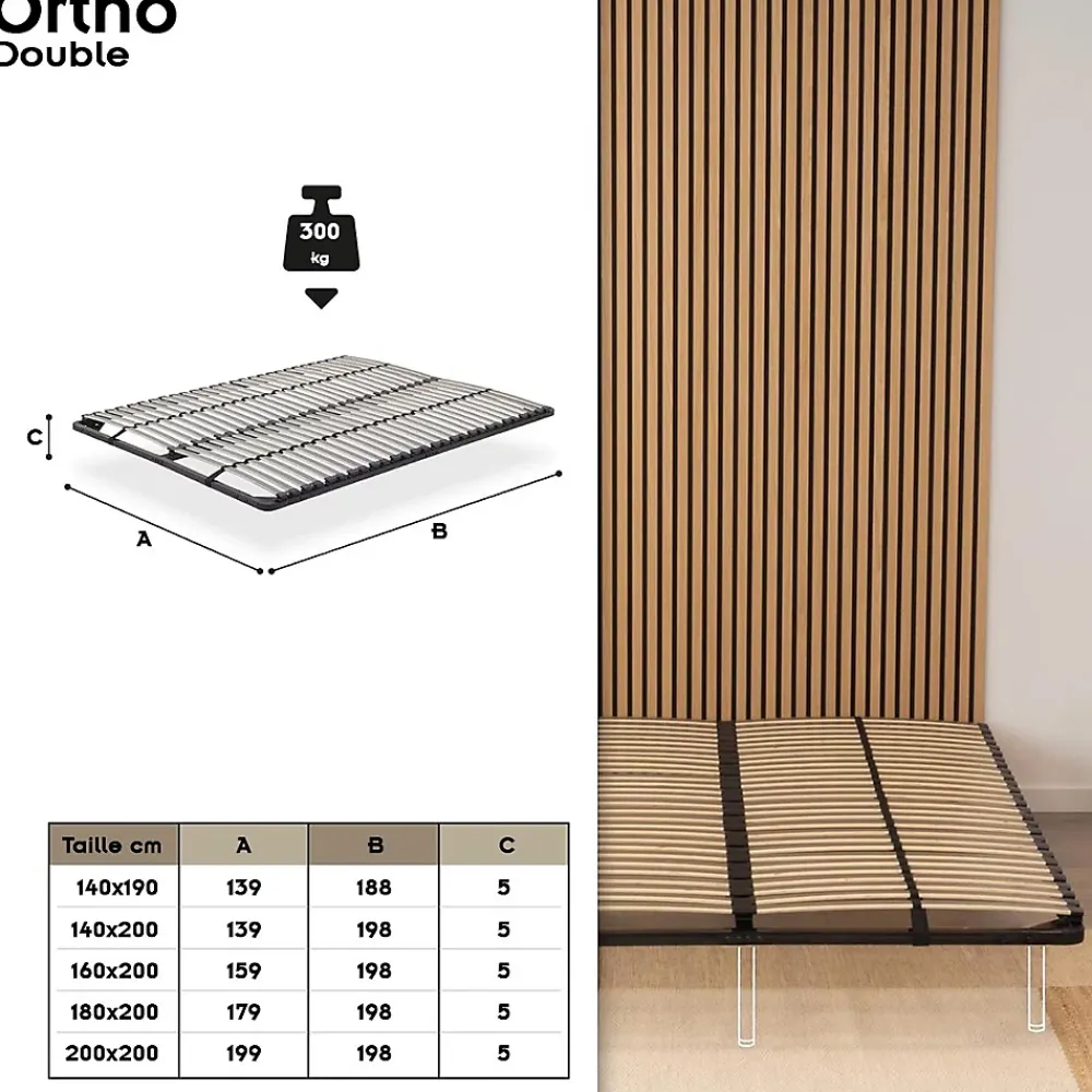 Monmobilierdesign Sommier à Lattes En Acier Avec Bande Stabilisatrice Noir 160x200 Cm Sans Pieds* Sommier