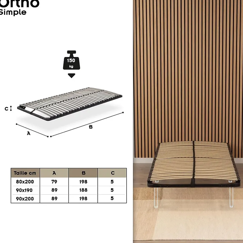 Monmobilierdesign Sommier à Lattes En Acier Avec Bande Stabilisatrice Noir 80x200 Cm Sans Pieds* Sommier