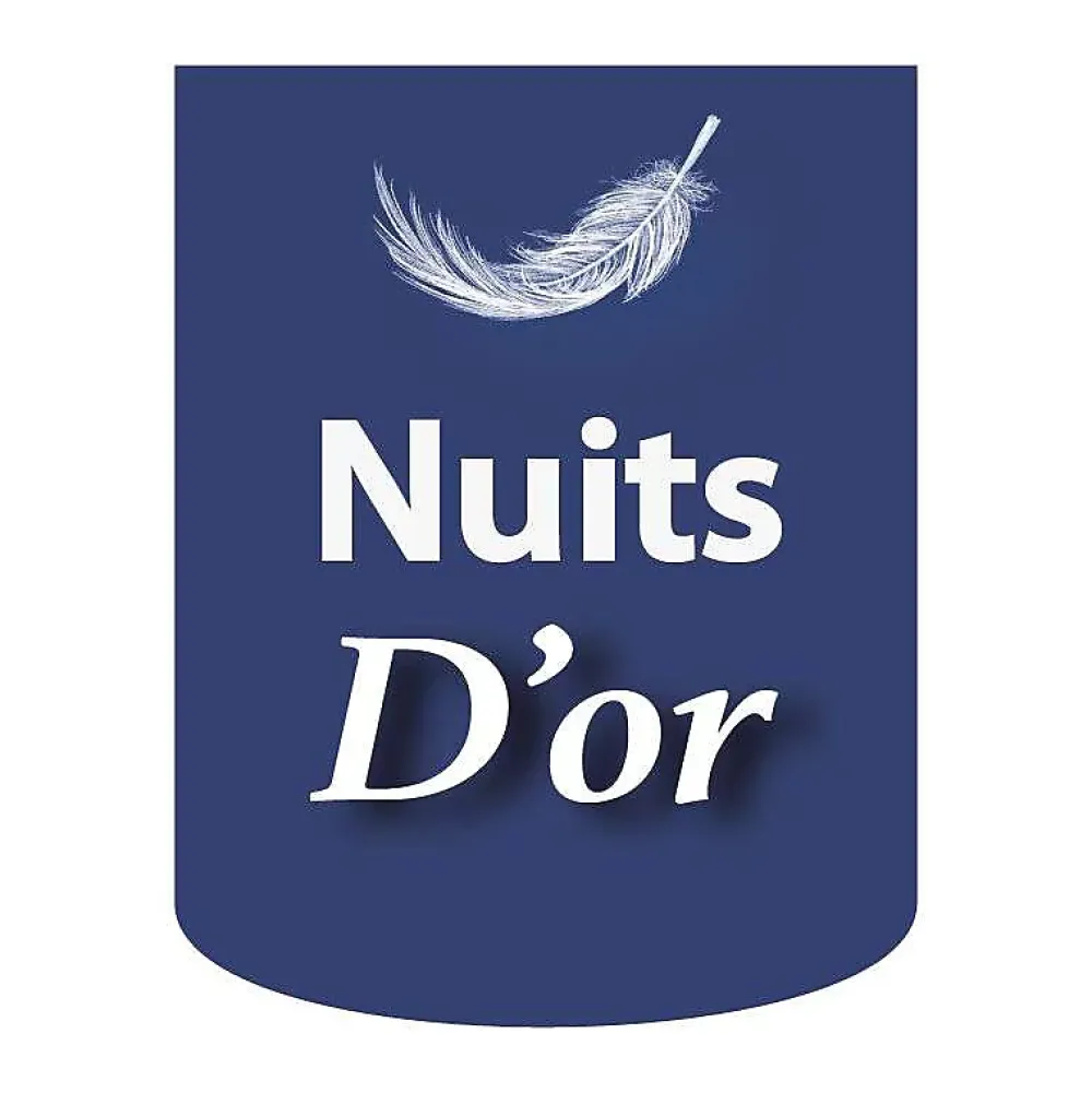 Nuits D'Or SOMMIER TAPISSIER 140x200 cm - 20 cm - 13 lattes - montage rapide et facile - revêtement facile d'entretien - GREGORY MARRON* Sommier