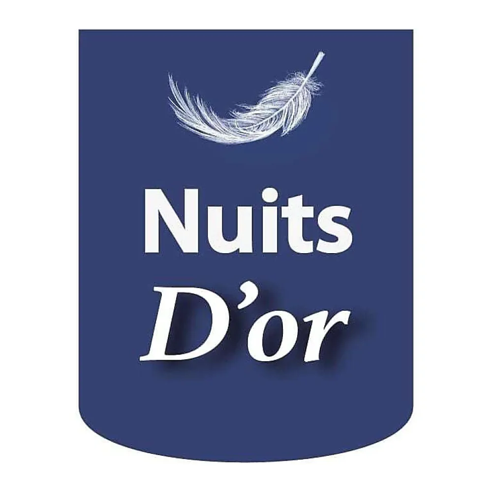 Nuits D'Or Sommier 90x190 - 20 cm - Déhoussable - 13 Lattes - Montage Rapide et Facile - Housse Lavable - Confort Optimal - Opale Gris* Sommier
