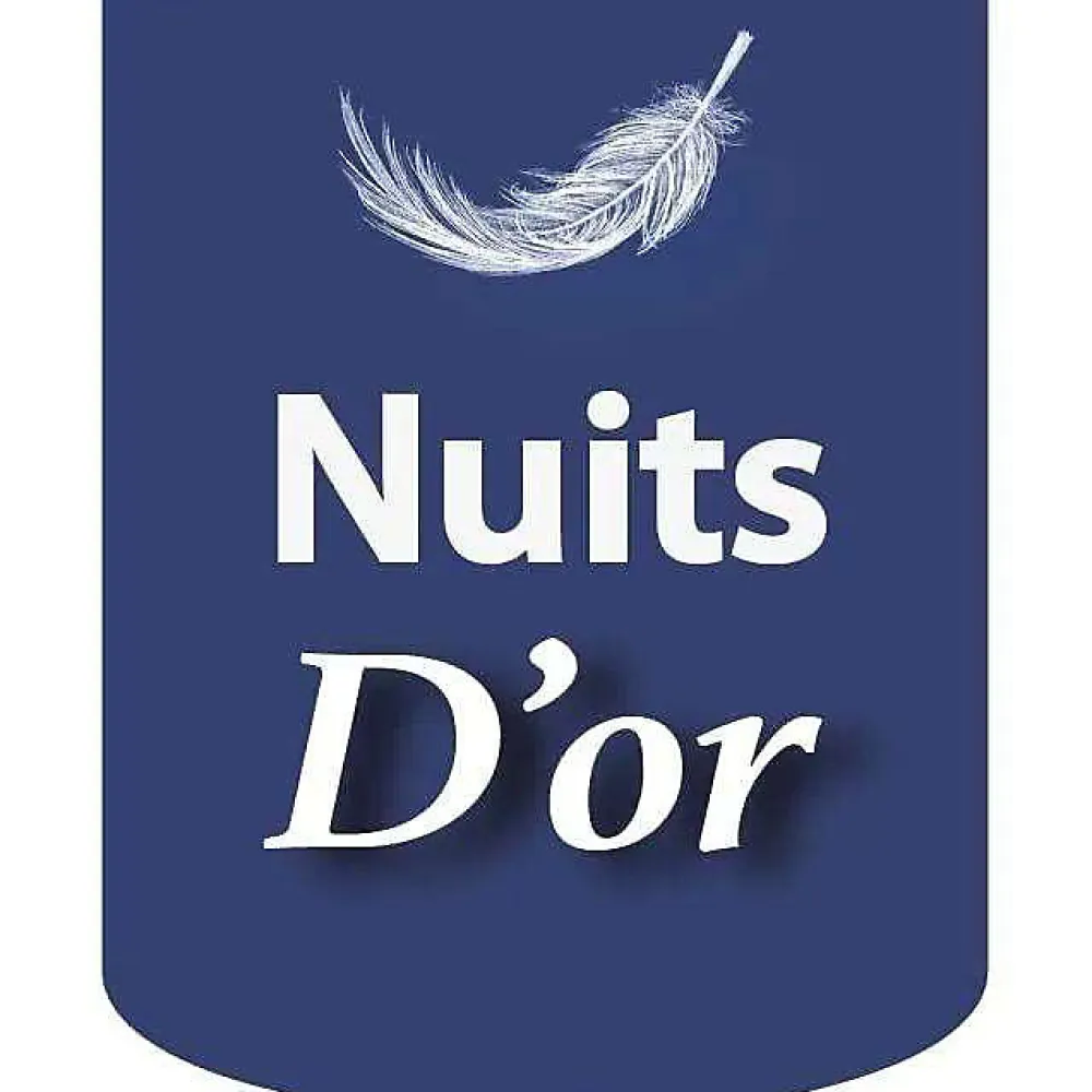 Sommier 80x200 cm - déhoussable - pieds 20 cm - 13 lattes - soutien ferme - confort - usage quotidien - meuble pratique>Nuits D'Or