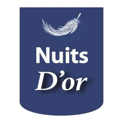 Nuits D'Or Sommier 90x200 cm Tapissier Déhoussable - 20 cm - 13 Lattes - Montage Rapide et Facile - Housse Lavable - Confort Optimal - Opale* Sommier