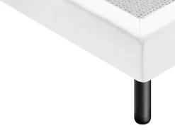 Materassiedoghe Sommier 160x200 Tapissier Déco Couleur Blanc Resistant Jusqu'à 120 Kg Par Personne* Sommier