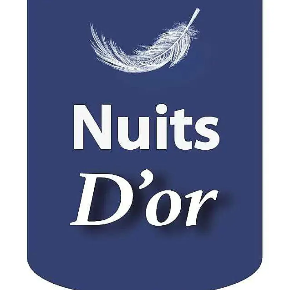 Nuits D'Or Sommier 120x200 Tapissier Déhoussable 20 cm - 13 Lattes - Montage Rapide - Facile d'entretien - Confort Optimal - Design Moderne -* Sommier