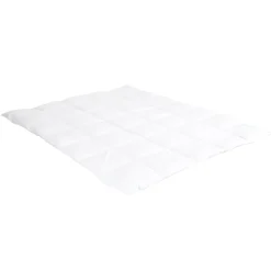 Bellecour Surmatelas 6 cm Tranquilité 140x200 cm Duvet et plumettes de canard neuf* Surmatelas
