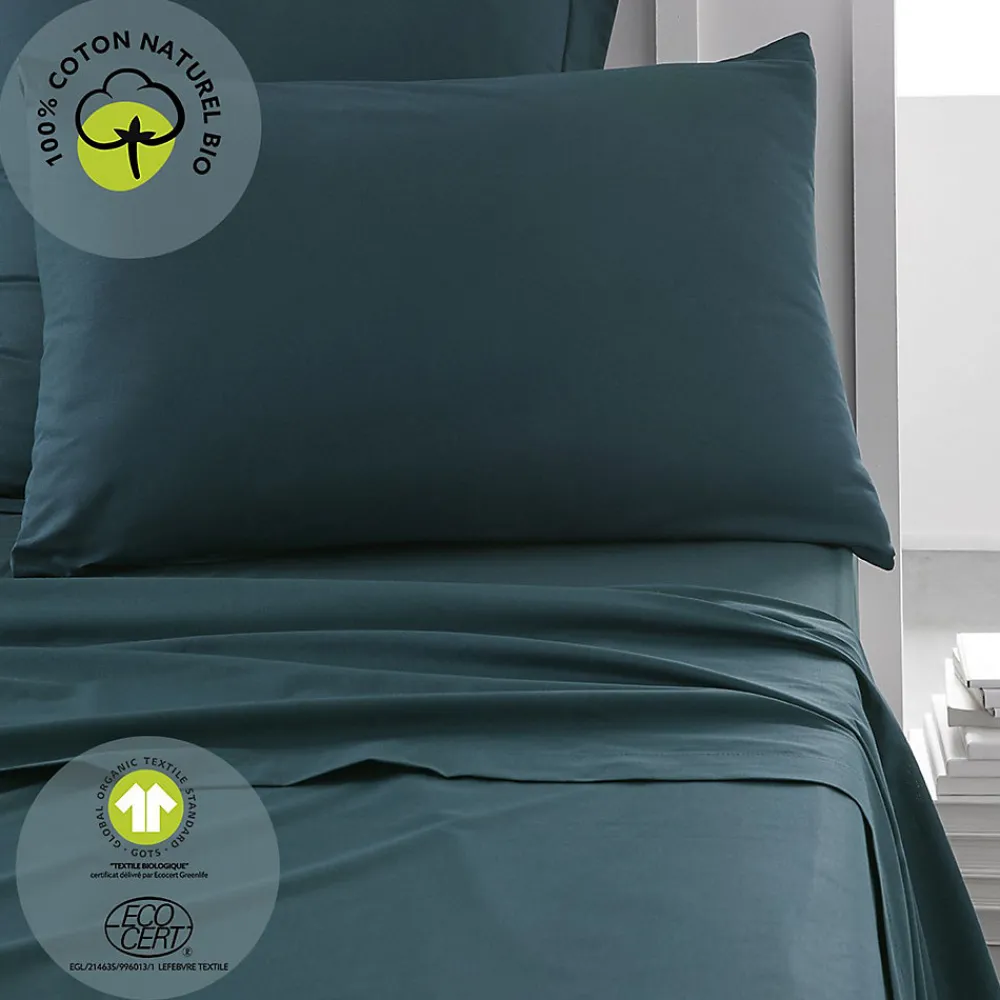 Taie d'oreiller rectangulaire - 100% coton BIO>Today Online